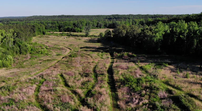 The Preserve at Dundee